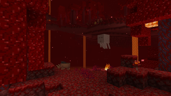 Nether and End Biomes