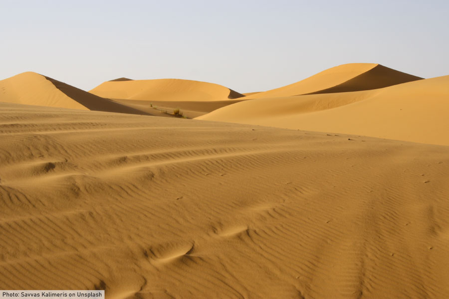Desert Biome