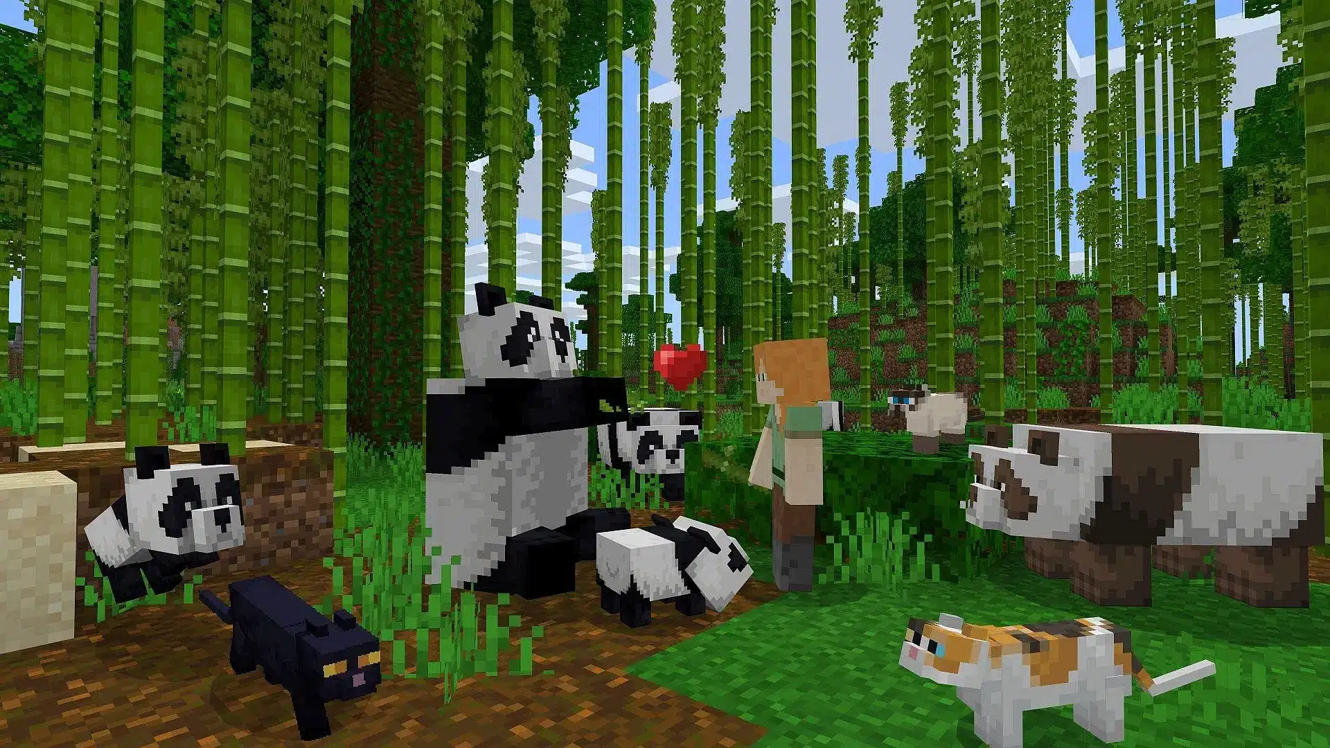 Animal Food